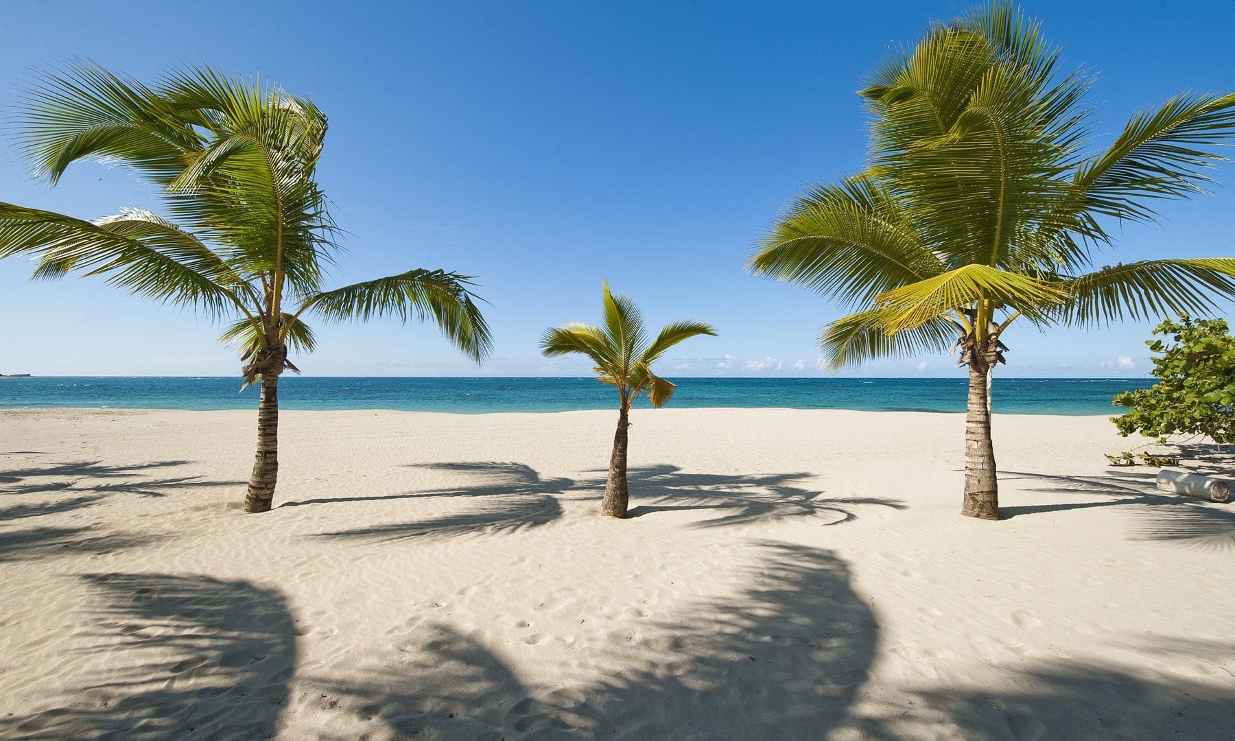 playa dorada puerto plata